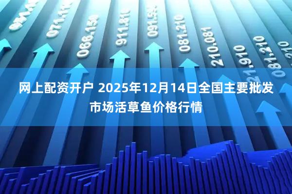 网上配资开户 2025年12月14日全国主要批发市场活草鱼价格行情
