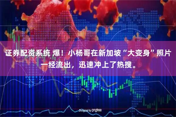 证券配资系统 爆！小杨哥在新加坡“大变身”照片一经流出，迅速冲上了热搜。